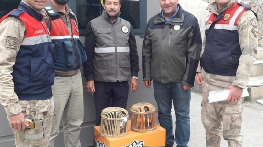 Gevaş’ta kaçak avlanmış 42 keklik ele geçirildi