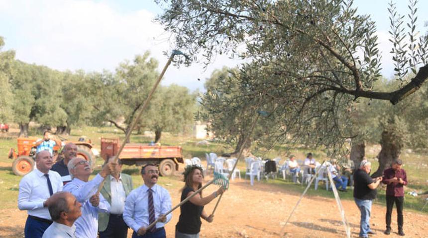 Zeytin yağının litresi 100 bin liradan satışa sunulacak