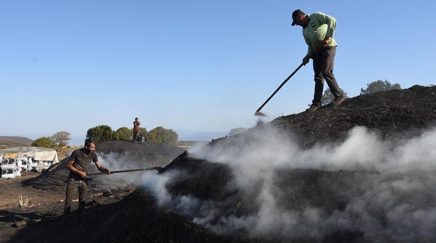 Mevsimlik işçilerin mangal kömürü mesaisi