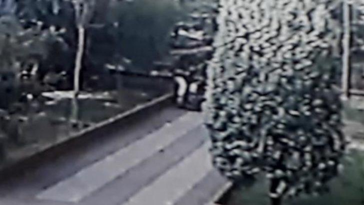 Küçükçekmece'de 7 yaşındaki çocuğa pitbull dehşeti!  G1