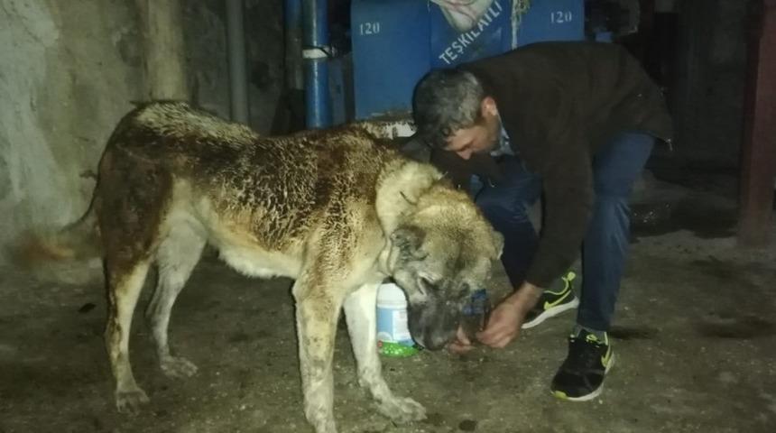 Tokat’ta 5 ev yangında hasar gördü