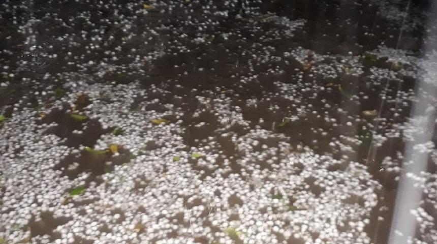 Yavuzeli&rsquo;nde nohut b&uuml;y&uuml;kl&uuml;ğ&uuml;nde dolu