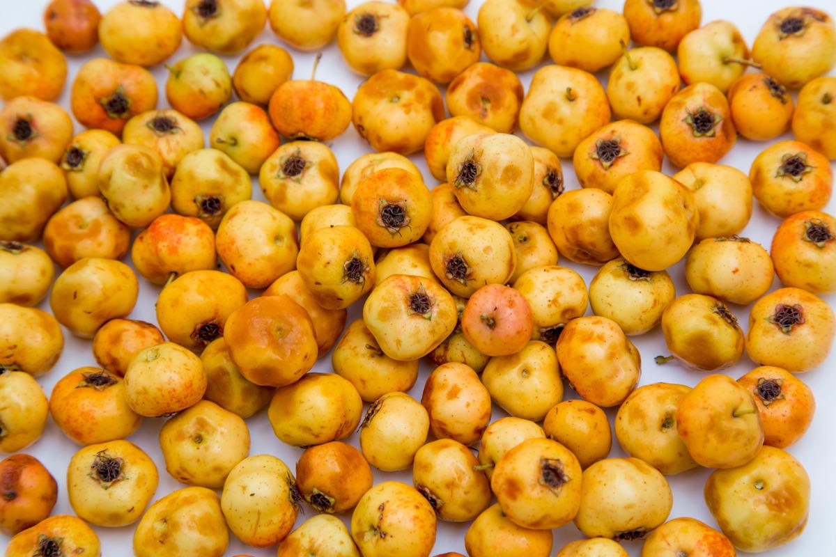 Alı&ccedil; nedir, alı&ccedil; meyvesinin faydaları nelerdir, alı&ccedil; sirkesi zayıflatır mı?