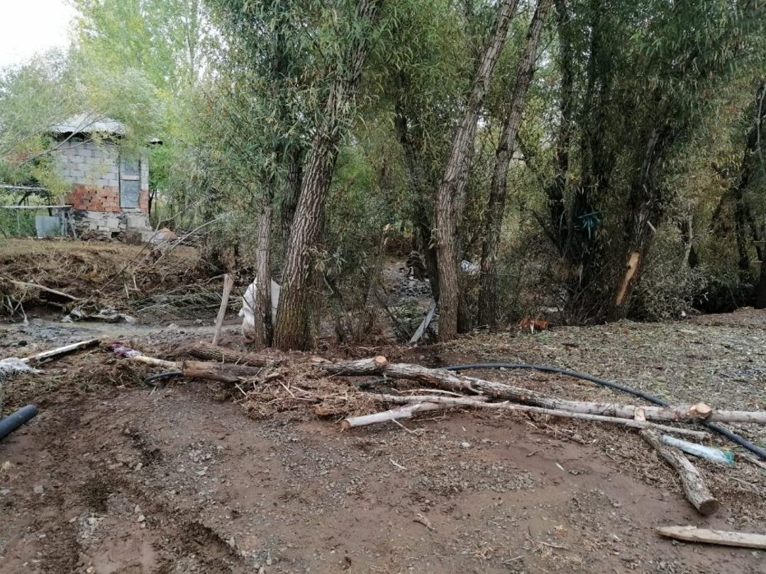 Bing&ouml;l&rsquo;de taşkın ahıra zarar verdi