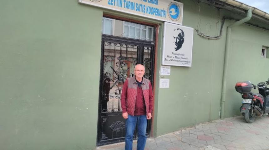 Erdek&rsquo;te 11 milyon 370 bin kilo zeytin hasadı bekleniyor