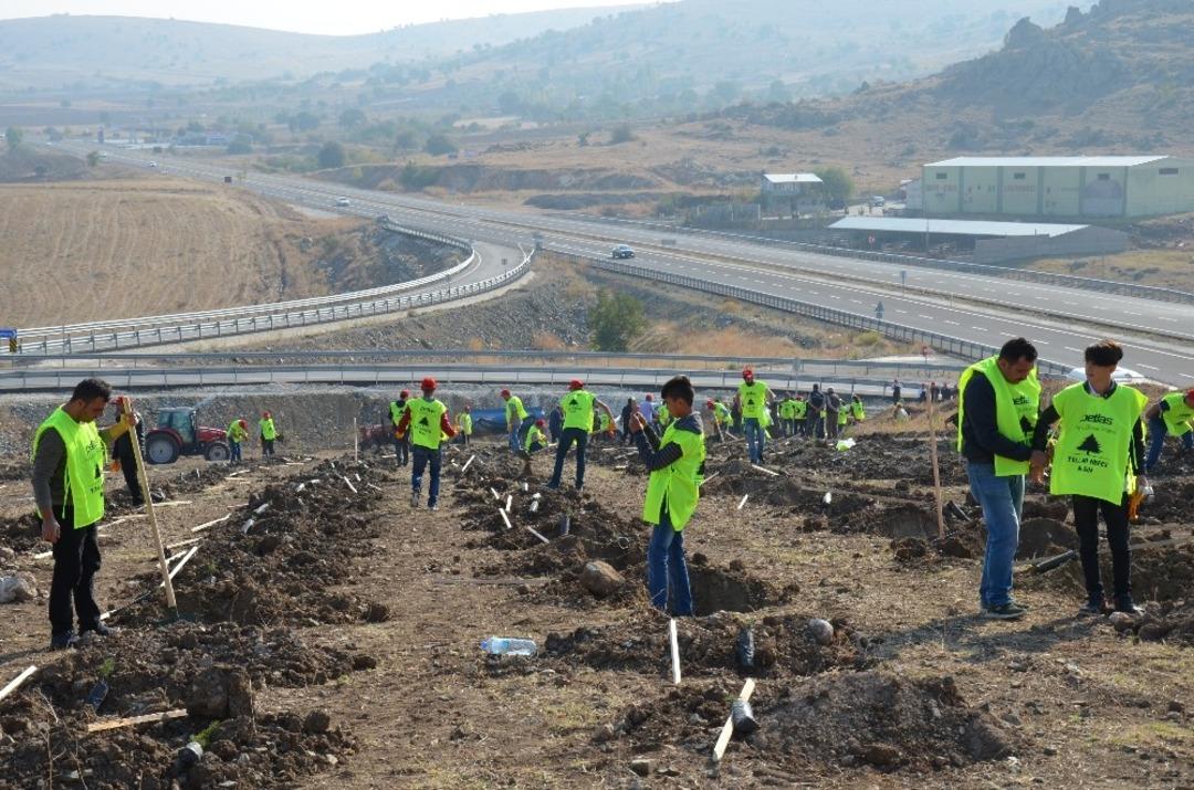 Petlas &ccedil;alışanları, &lsquo;K&uuml;&ccedil;&uuml;k bir fidan kocaman bir nefes&rsquo; temalı ağa&ccedil; dikme kampanyası d&uuml;zenledi