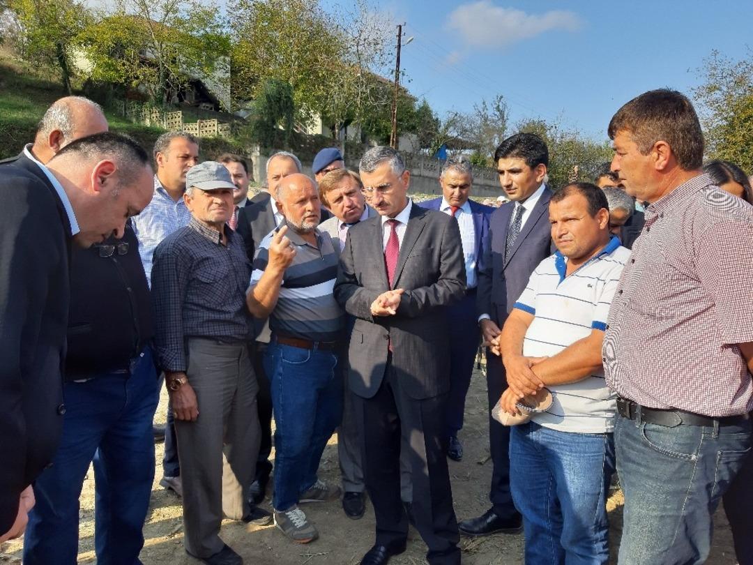 &Ccedil;aycuma&rsquo;da "silajlık mısır hasadı" yapıldı