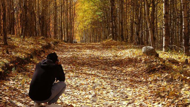 1890 metrede renk şöleni