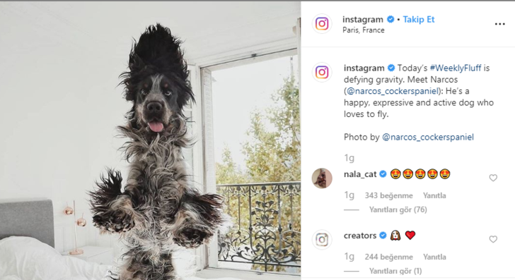 Bu yöntemler ile Instagram beğenilerinize beğeni katın! G5