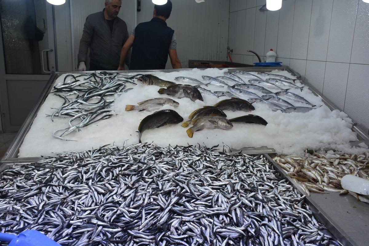 Karadeniz&rsquo;de hamsi bolluğu! Kilosu 5 liraya d&uuml;şt&uuml;
