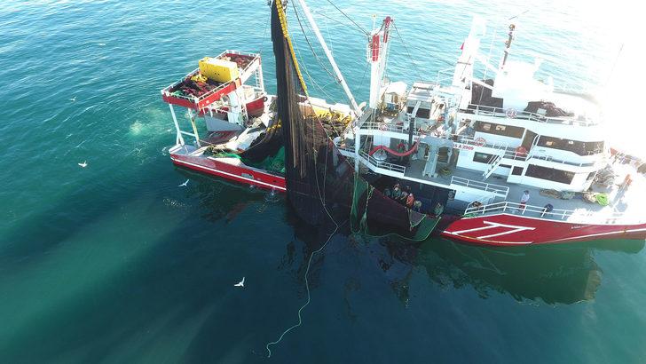 Karadeniz’de hamsi bolluğu! Kilosu 5 liraya düştü G3