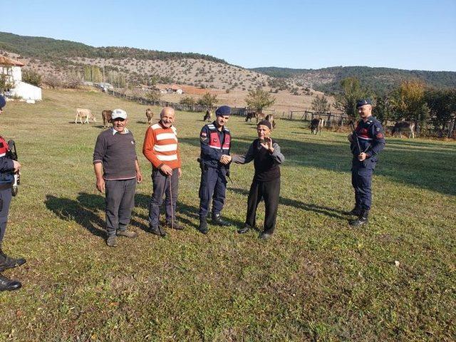 Kaybolan büyükbaş hayvanları jandarma buldu