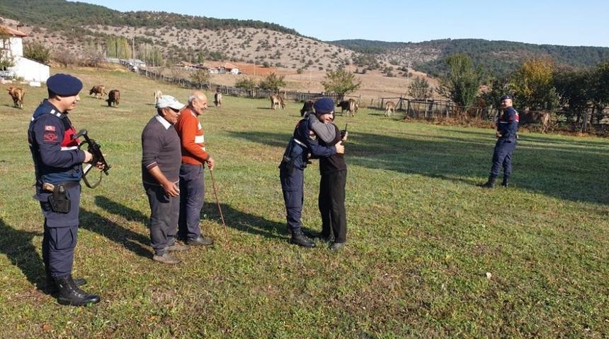 Kaybolan büyükbaş hayvanları jandarma buldu