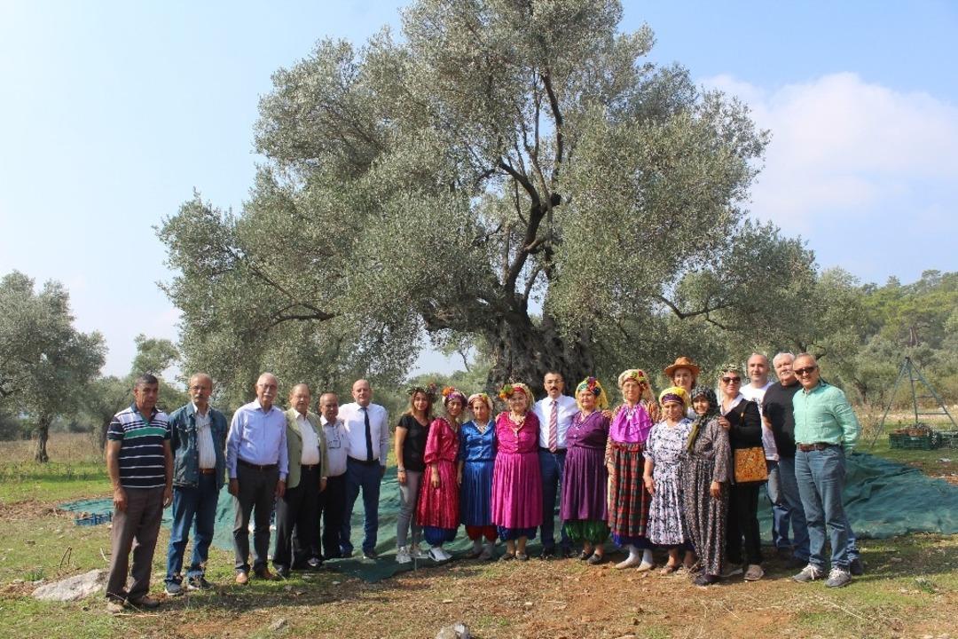 Ata Ağa&ccedil; &lsquo;gelecek nesil&rsquo; i&ccedil;in hasat edildi