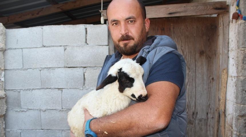 K&ouml;y&uuml;ne hizmet i&ccedil;in kamu kurumundan istifa etti