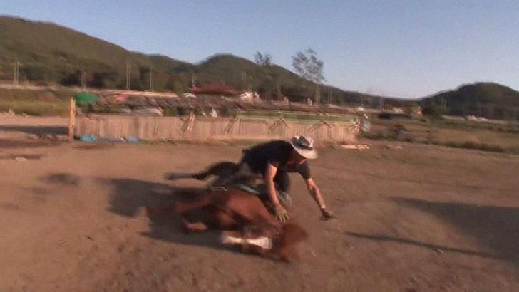 Üzerine biri binmeye kalkınca ölü taklidi yapan at! G2