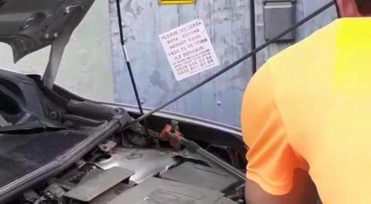 Bursa'da satın aldığı arabanın kaportasından yılan çıktı G2