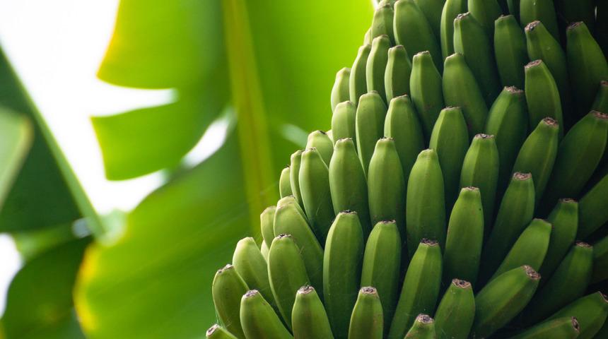 Sindirim sistemi sorunlarına karşı alabileceğiniz doğal önlemler