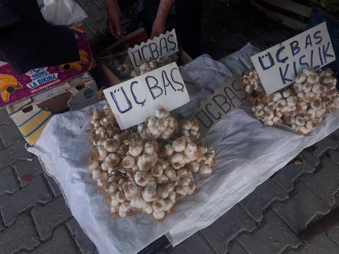 50 yıldır sarımsak &uuml;retiyor