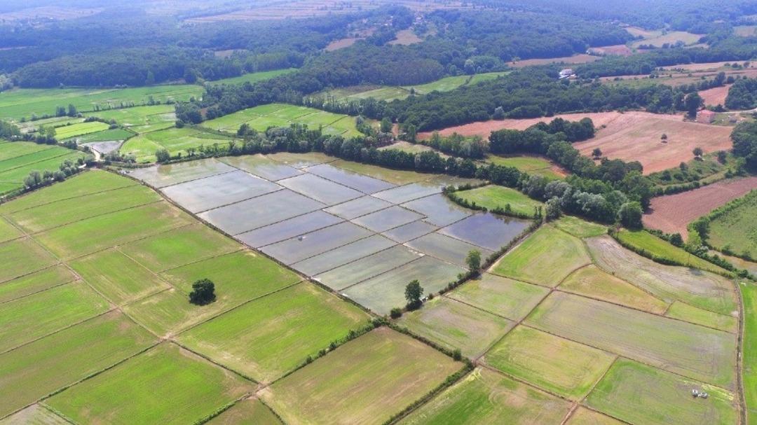 Sinop&rsquo;ta 16 bin 50 dekar tarım arazisi sulandı