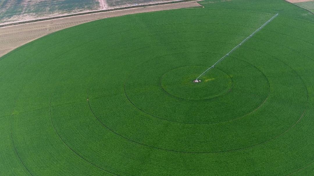 Amasya&rsquo;da 234 bin 330 dekar arazi sulandı