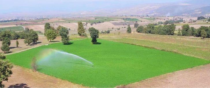 Samsun’da 221 bin 280 dekar tarım arazisi sulandı G1