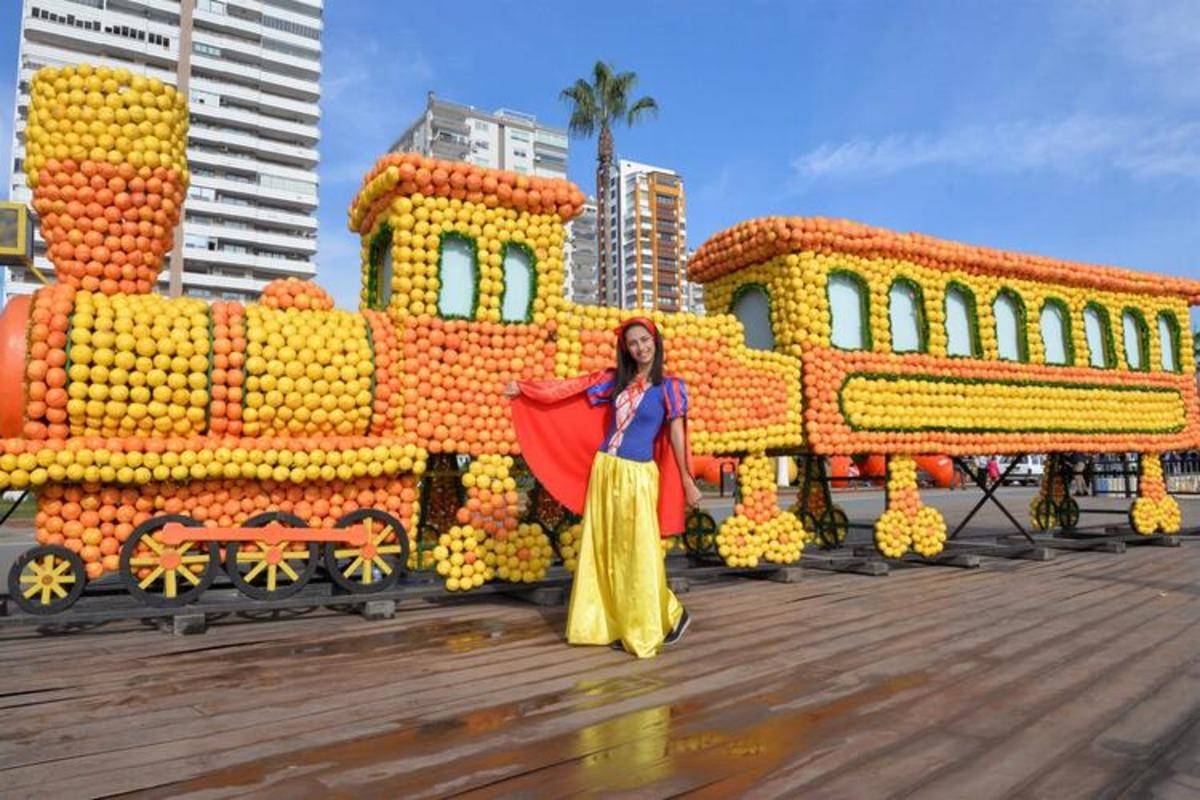 Mersin, Narenciye Festivali'ne hazırlanıyor