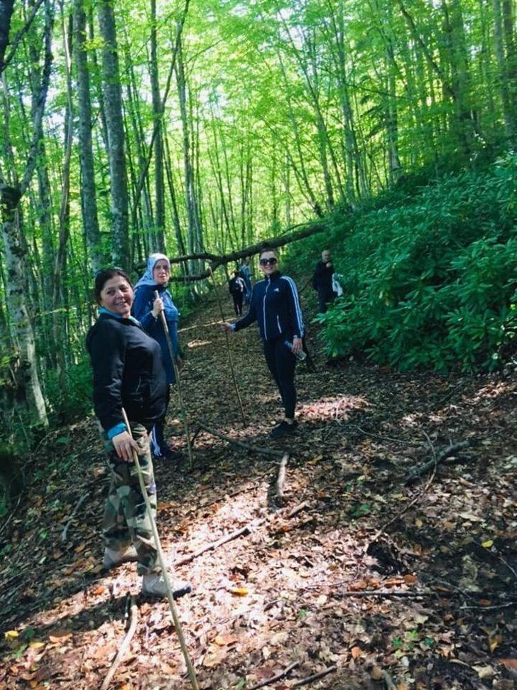 Türkeli’de doğaseverlerden doğa yürüyüşü etkinlikleri G5