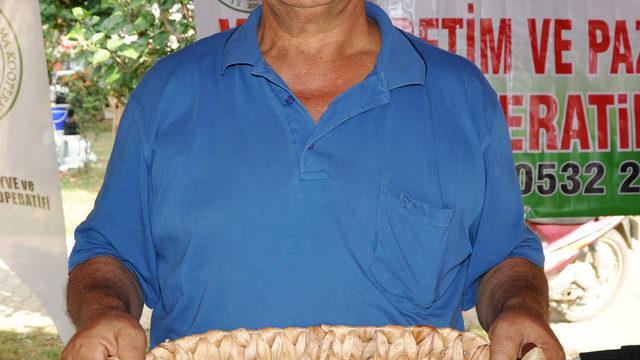 500 gramlık mangonun tanesi 30 liraya alıcı buldu