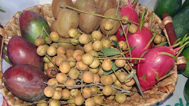 500 gramlık mangonun tanesi 30 liraya alıcı buldu