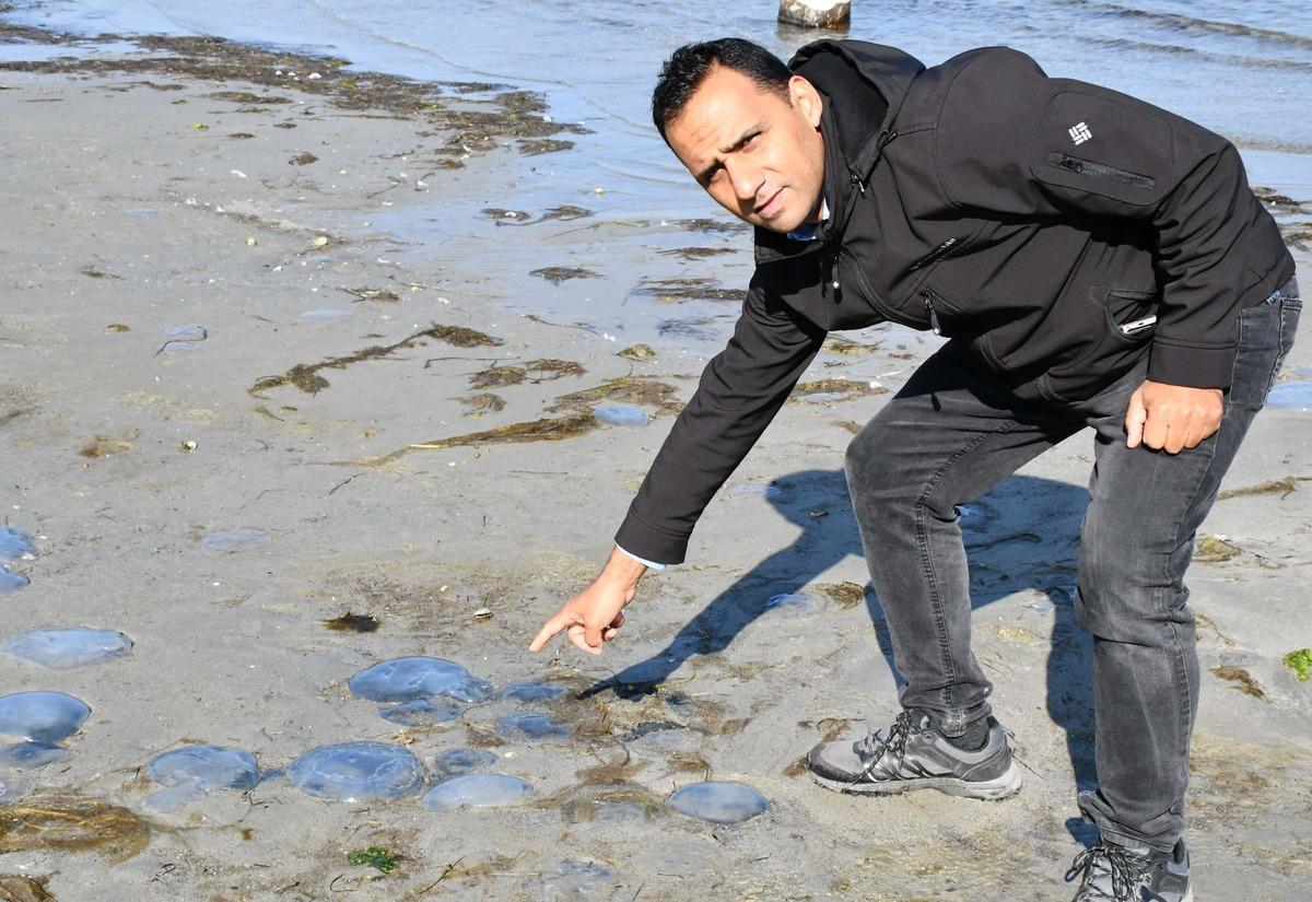 Tekirdağ'da deniz metrelerce &ccedil;ekildi