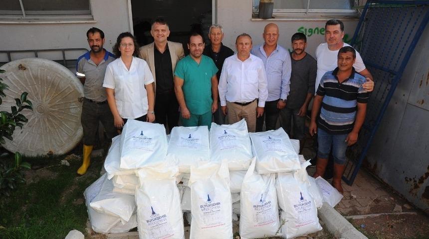 Sokak hayvanlarına 1.5 ton mama yardımı