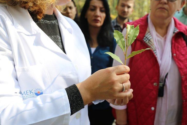 Kocaeli’de tıbbi aromatik bitki yetiştiriciliğine tam destek G4