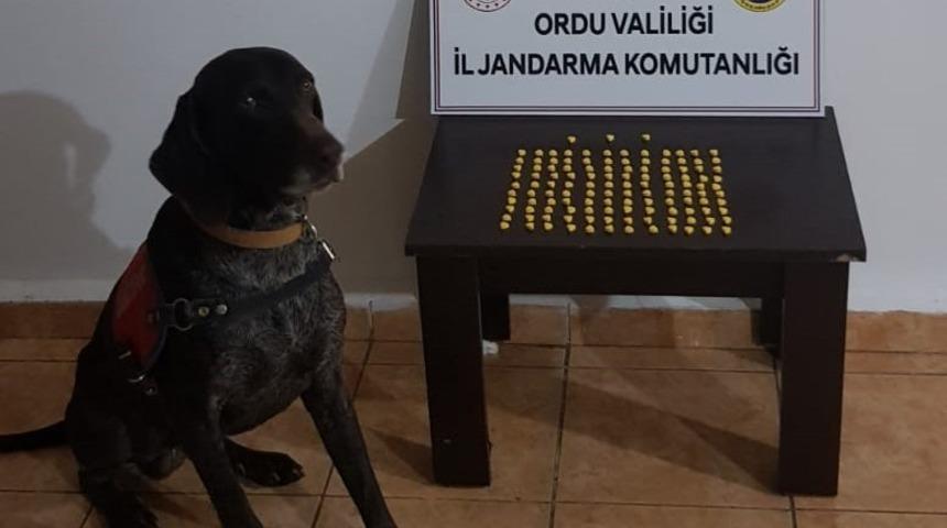 Ordu’da uyuşturucuya geçit yok