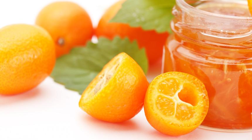 Kumkat kompostosu nasıl yapılır? Kumkat kompostosu tarifi