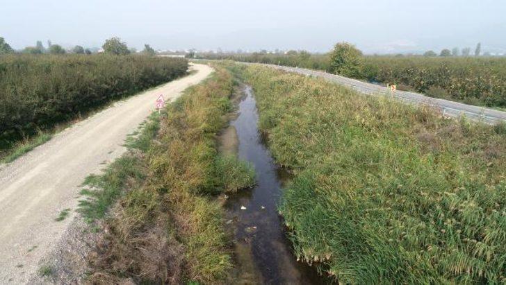 Bursa Valiliği'nden toplu balık ölümleriyle ilgili açıklama G4