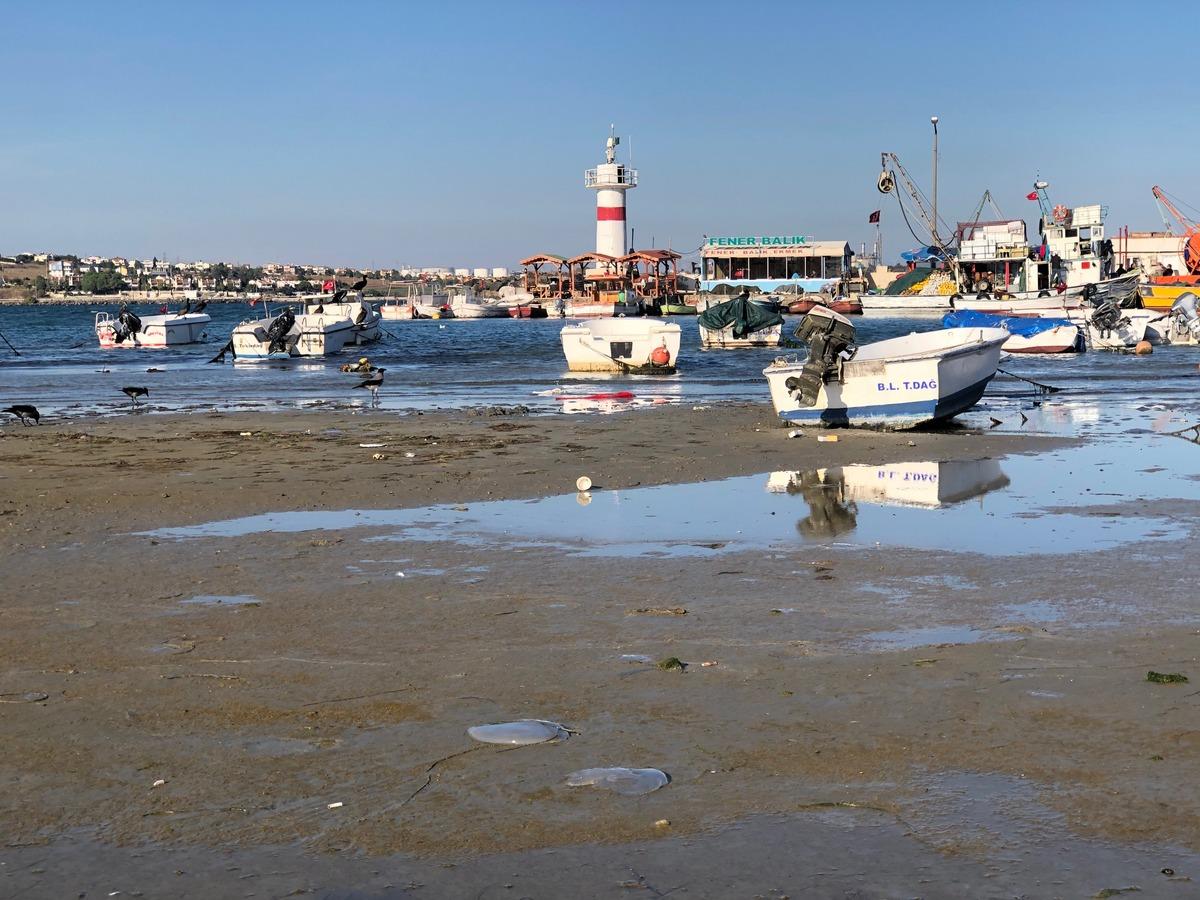 Marmaraereğlisi&rsquo;nde deniz 15 metre &ccedil;ekildi! Tekneler karaya oturdu
