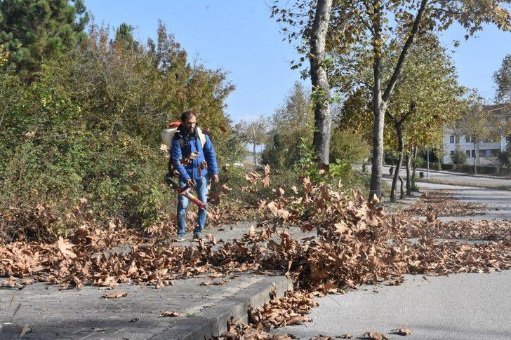 Belediyeden sonbahar temizliği G1