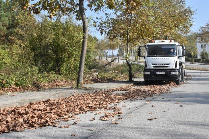 Belediyeden sonbahar temizliği G2