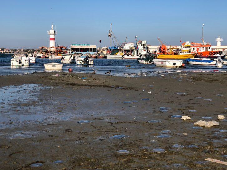 Marmaraereğlisi’nde deniz 15 metre çekildi! Tekneler karaya oturdu G2