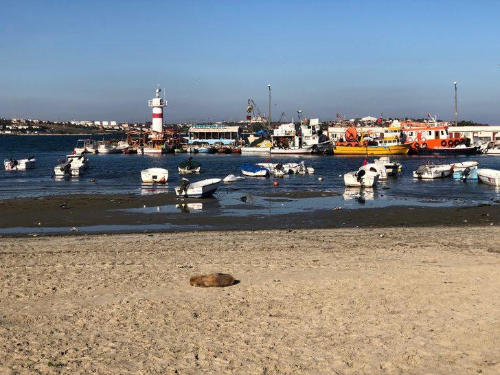 Marmaraereğlisi’nde deniz 15 metre çekildi! Tekneler karaya oturdu G5