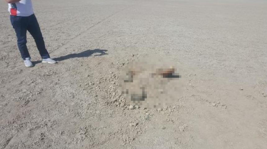 Cesedi toprağa g&ouml;m&uuml;l&uuml; halde bulunmuştu! Kimliği tespit edildi