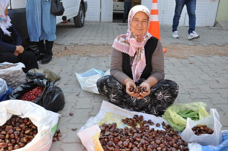 Simav kestanesi tezgahlardaki yerini aldı G1