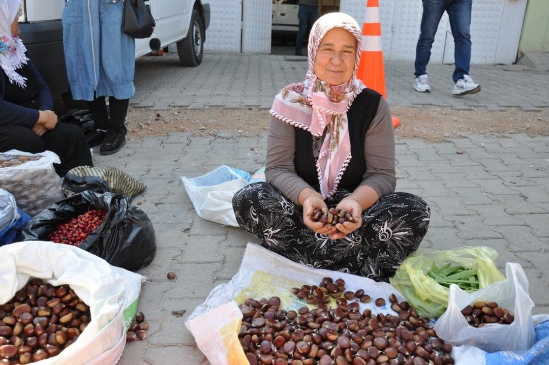 Simav kestanesi tezgahlardaki yerini aldı