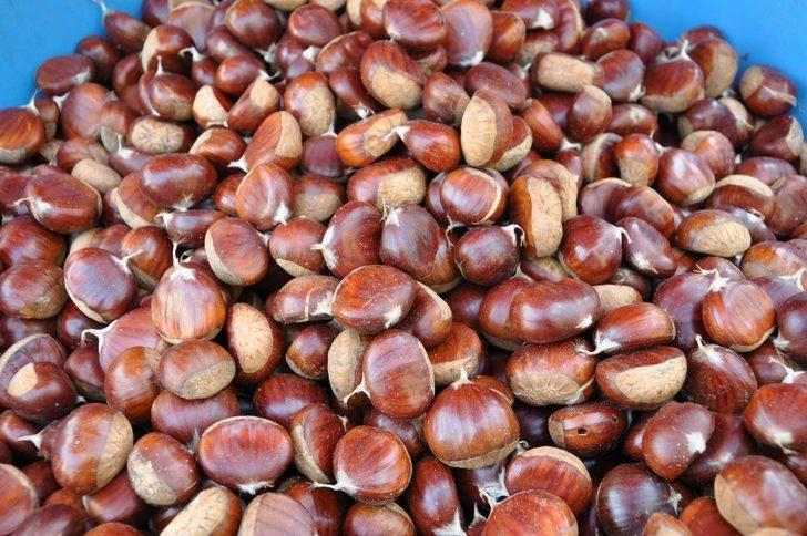 Simav kestanesi tezgahlardaki yerini aldı G2