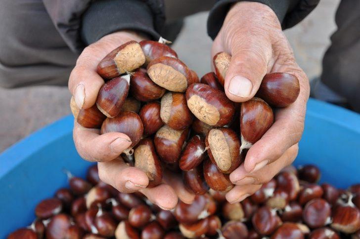 Simav kestanesi tezgahlardaki yerini aldı G4