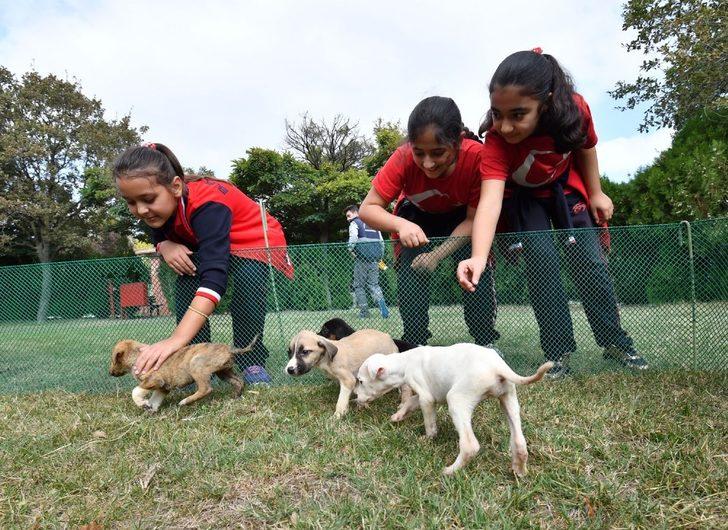Minik öğrenciler can dostlarını unutmadı G4