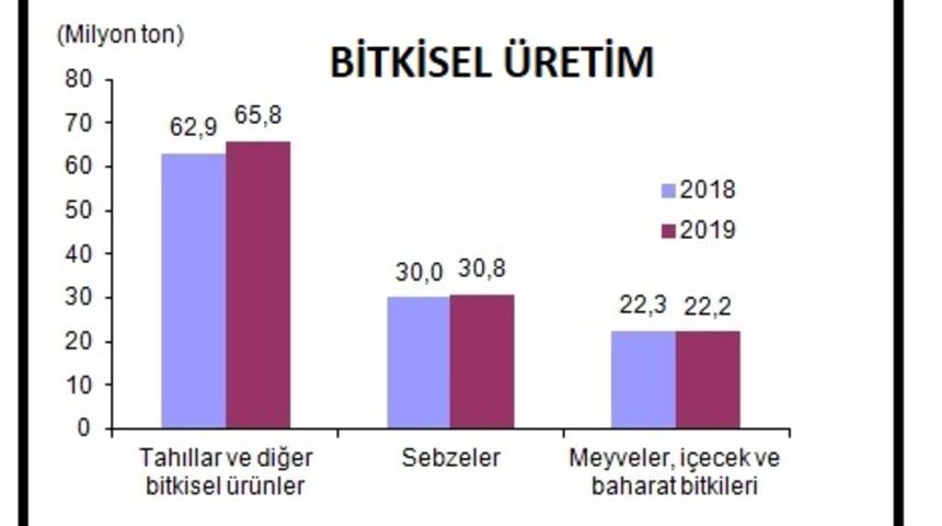 TÜİK - Bitkisel üretimin 2019 yılında artacağı öngörülüyor