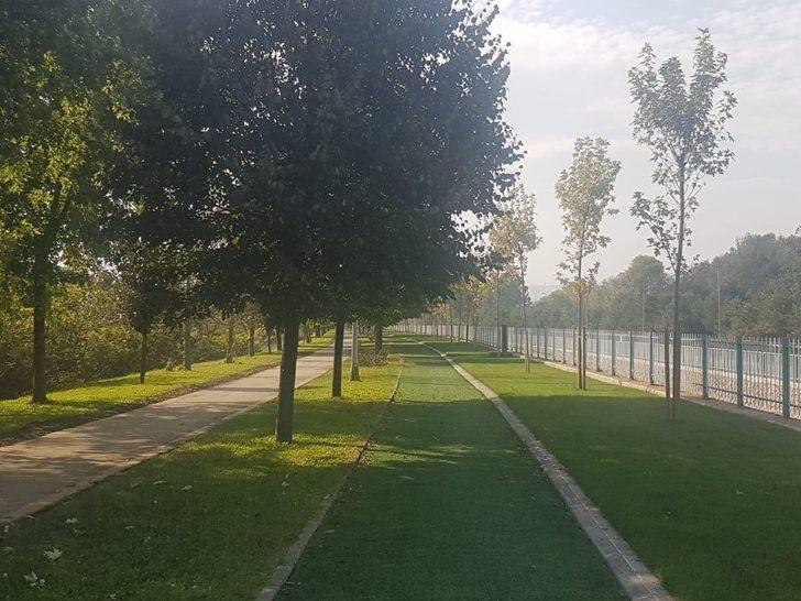 Başiskele battı çıktıya aydınlatma bakımı G2