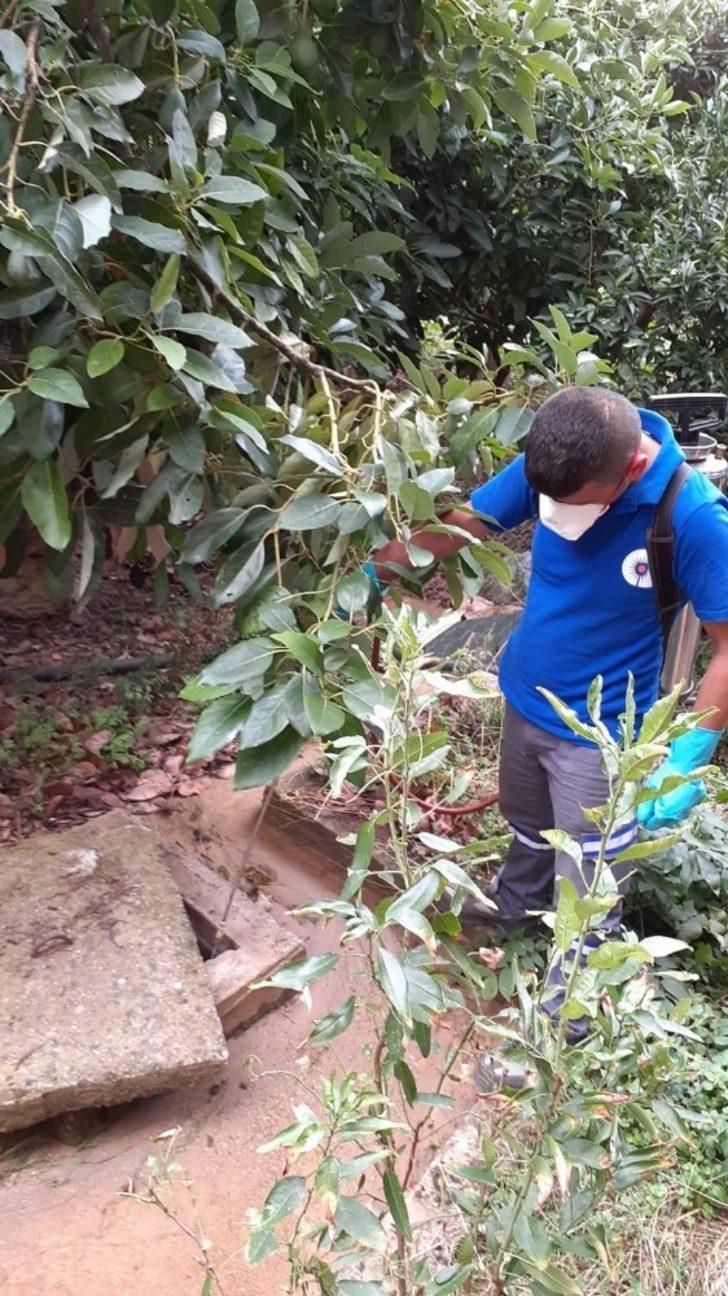 Alanya’da yağış sonrası sinekle yoğun mücadele G2